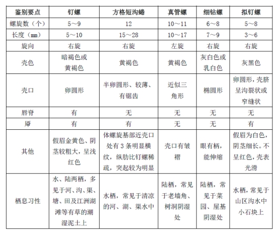 Key points of distinguishing Oncomelania hupensis from similar snails (Source: People's Republic of China (PRC) Health Industry Standard WS/T 563— 2017 Oncomelania survey)